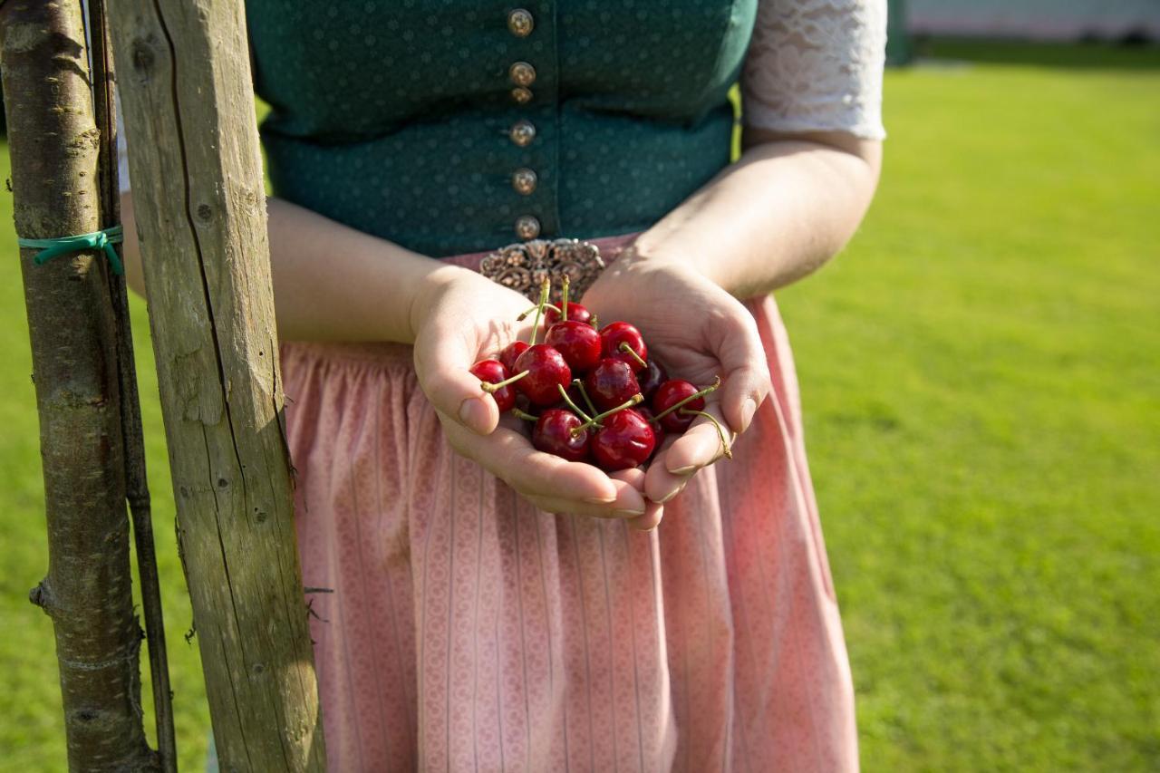 Obstgarten Gaestehaus Hollenstein an der Ybbs المظهر الخارجي الصورة